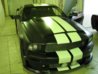 mustang.jpg