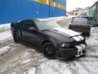 mustang2.jpg
