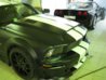 mustang3.jpg