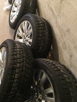 IMG_1151.JPG