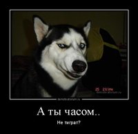 dm_temp_image_33012161108074832310.jpg