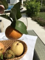 IMG_0811.JPG