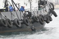 IMG_1294.JPG