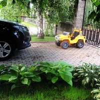 IMG_8452.JPG