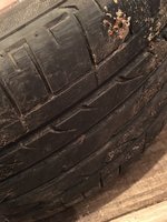 IMG_0110.JPG