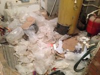 IMG_3756.JPG