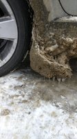 IMG_20170130_124533.jpg
