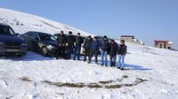 IMG_20170131_123722.jpg