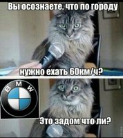 IMG_1410.JPG