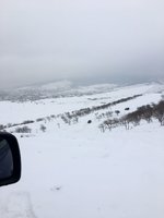 IMG-20170203-WA0013.jpg
