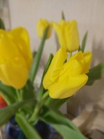 IMG_20170124_163300.jpg