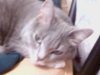 SP_A0081.jpg