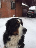 IMG_1777.JPG