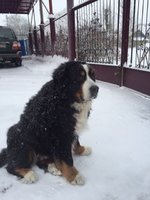 IMG_1780.JPG