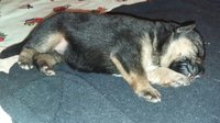 IMG_3032.JPG