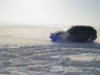 DSC00112.jpg