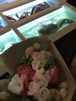 IMG_1726.JPG