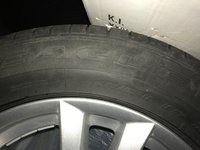 IMG_4769.jpg