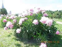 IMG_0387.JPG