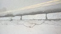WP_20170313_002.jpg