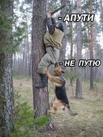 IMG_0443.JPG