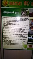 WP_20161207_15_32_35_Pro.jpg