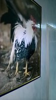 WP_20161209_15_04_27_Pro.jpg