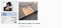 Снимок экрана 2017-03-16 в 22.27.19.png