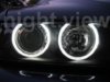 angel_ibright11_sized2.jpg