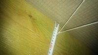 20170327_081900.jpg