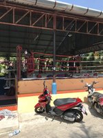 IMG_3779.JPG