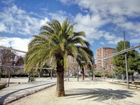 P60228-143651.jpg