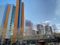 P60228-145930.jpg
