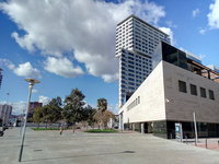 P60228-152431.jpg