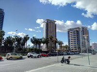 P60228-152455.jpg