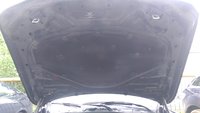 IMAG0668.jpg