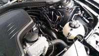 IMAG0673.jpg