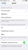IMG_2488.PNG
