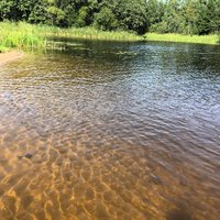 IMG_7292.JPG