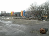 1491357585191012535.jpg