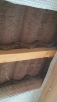 20170406_113535.jpg