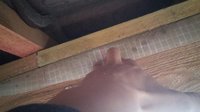 20170406_115710.jpg
