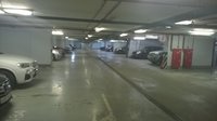 WP_20170408_002.jpg
