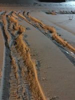 IMG_4036.JPG