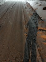 IMG_4037.JPG