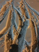 IMG_4038.JPG