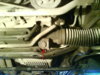 DSC0060811111.jpg