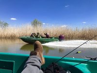 IMG_4115.JPG