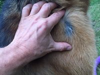 IMG_1259.JPG