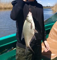 IMG_4076.JPG